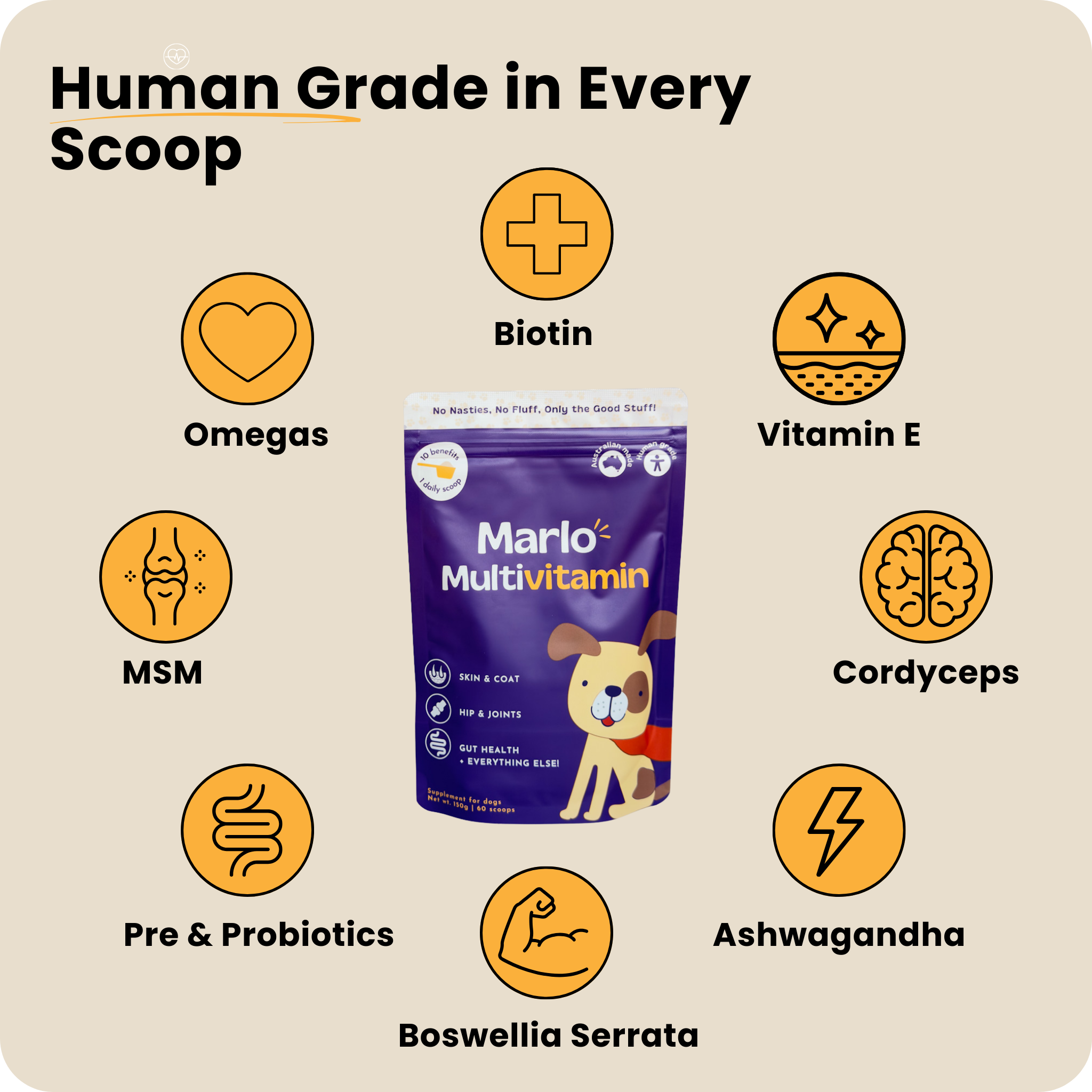 Marlo Multivitamin