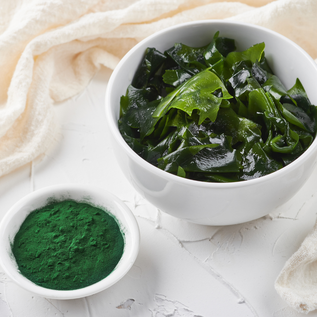 kelp in a white bowl next to a smaller white bowl of kelp powder