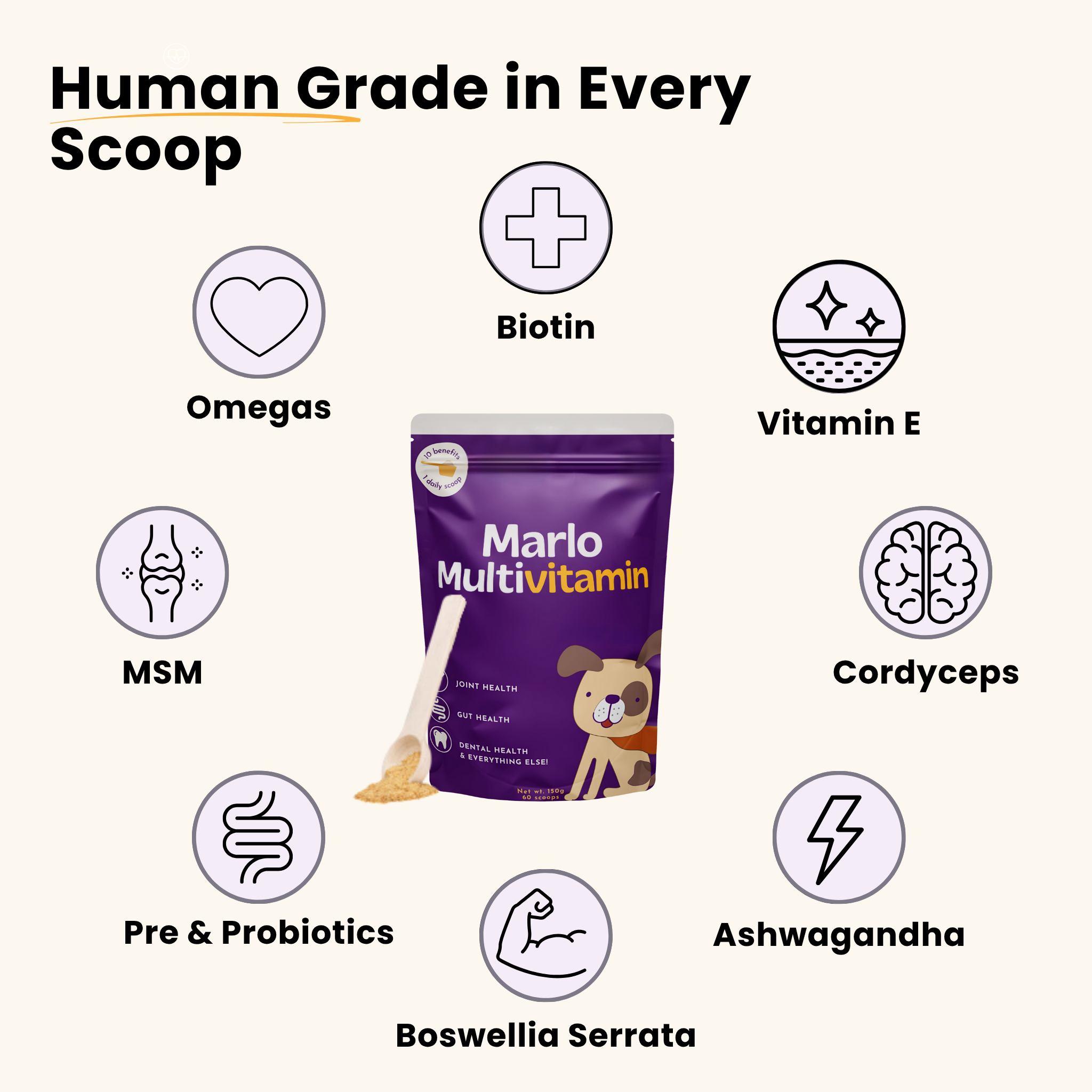 All-In-One Dog Multivitamin