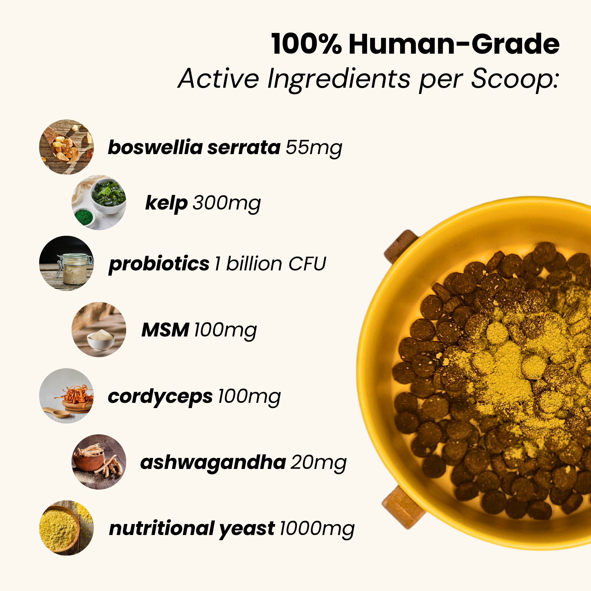All-In-One Dog Multivitamin