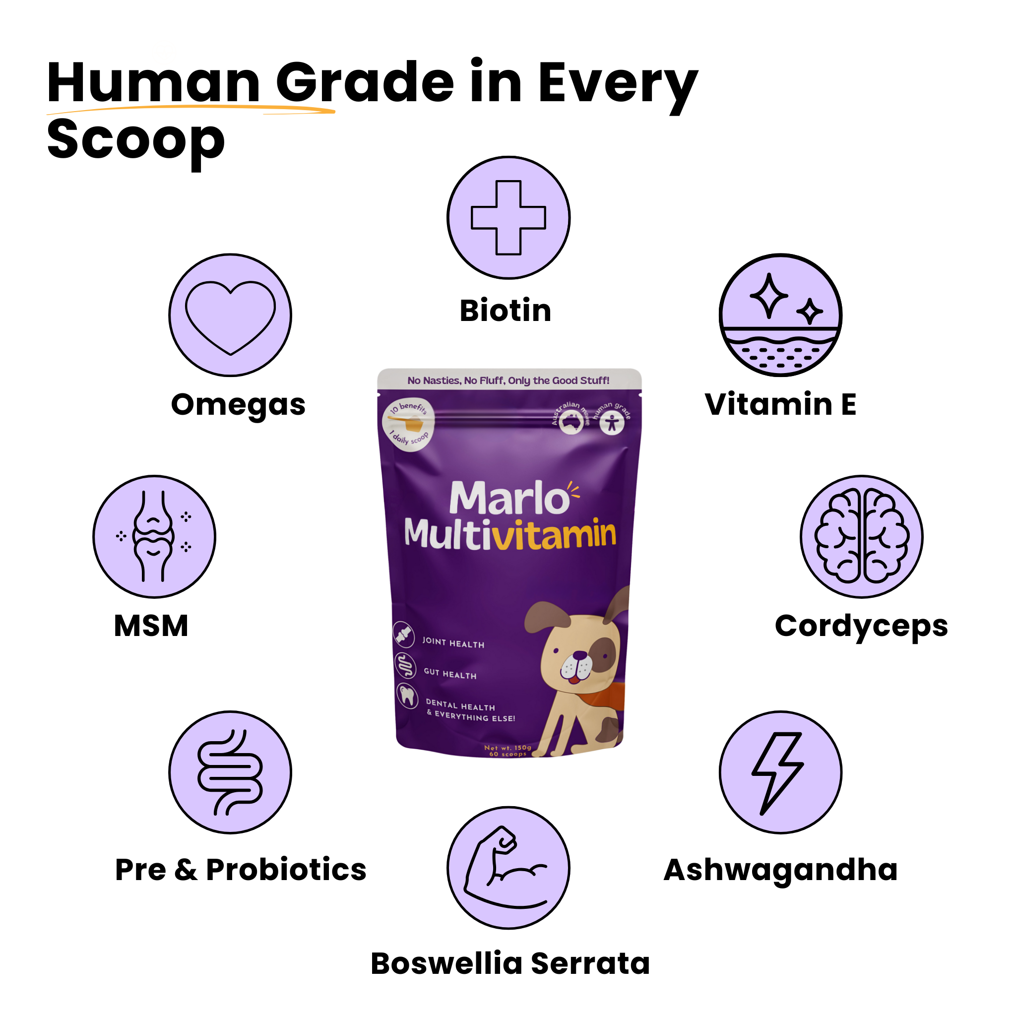 All-In-One Dog Multivitamin