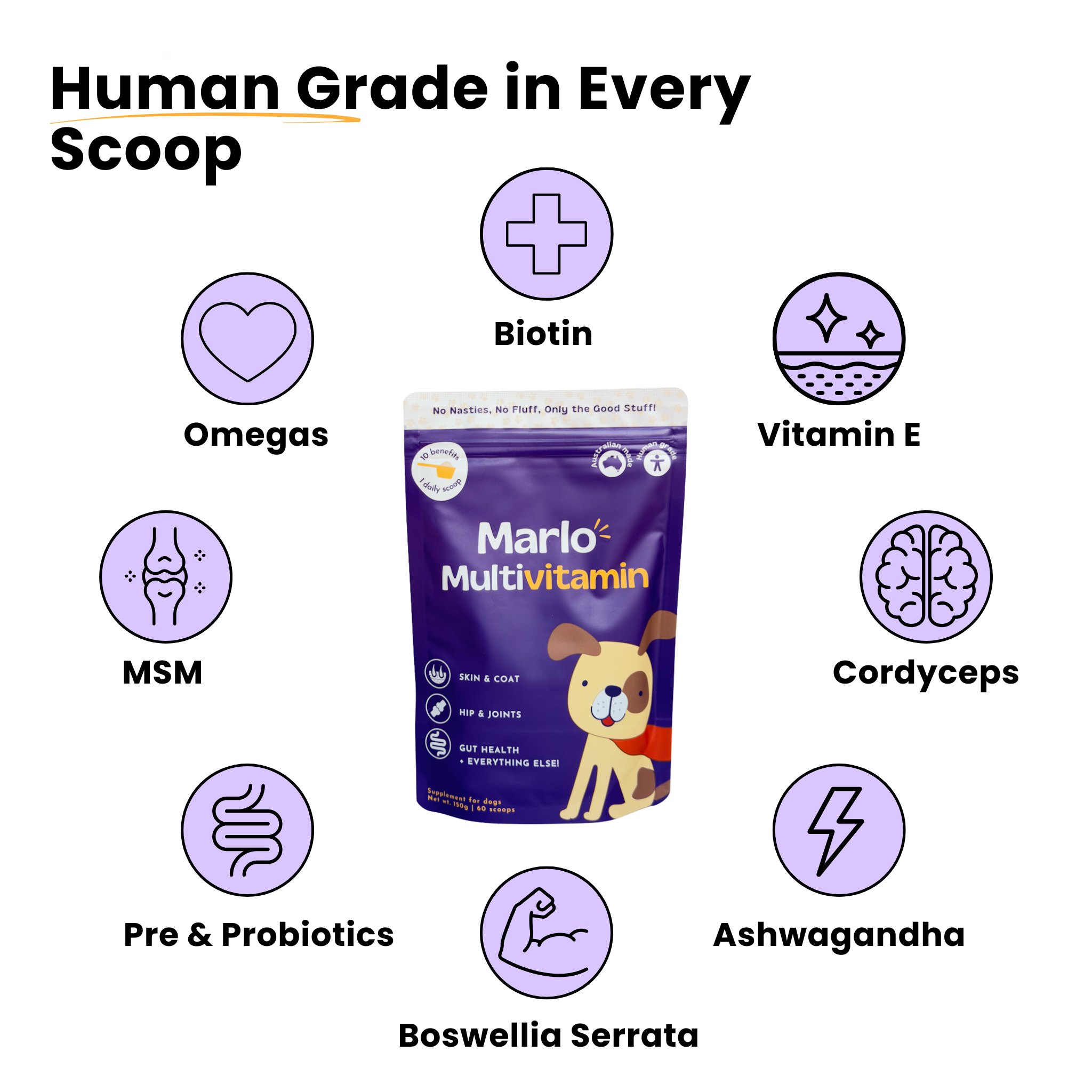 Marlo Multivitamin
