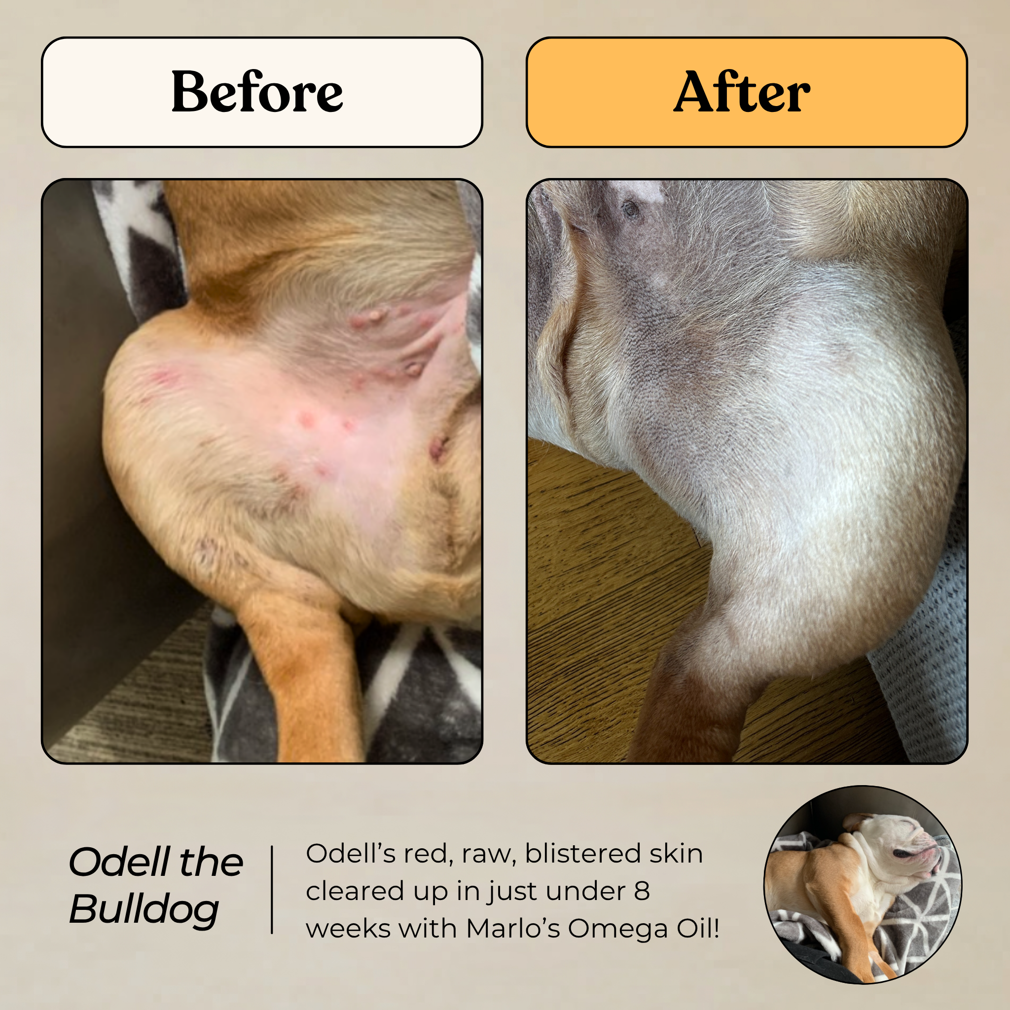 Omega Oil